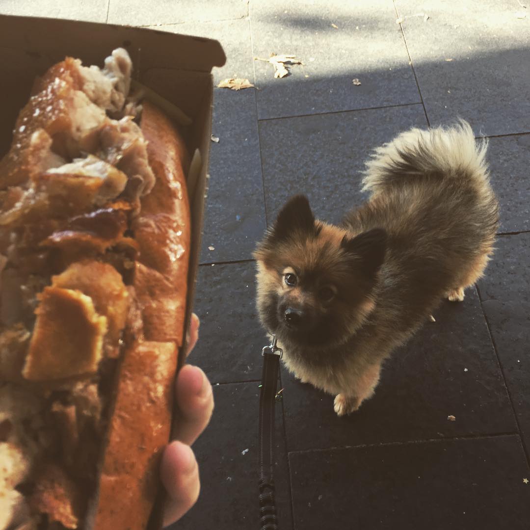 Sydney's Cheap Eats @brittanymissesfavourite Restaurants Sydney - Mr Crackles