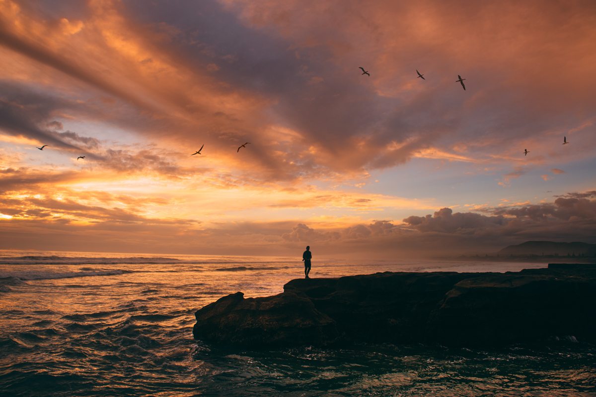 Best Places to Visit in New Zealand - Muriwai Beach, Auckland