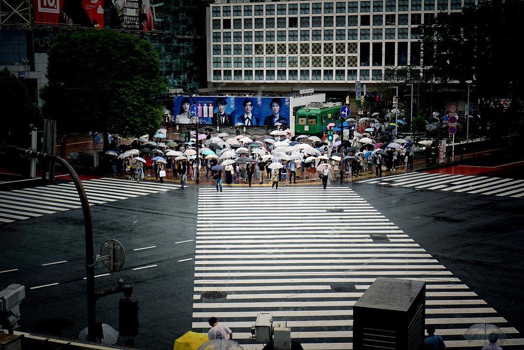 Visiter le Japon - Scramble Crossing à Shibuya