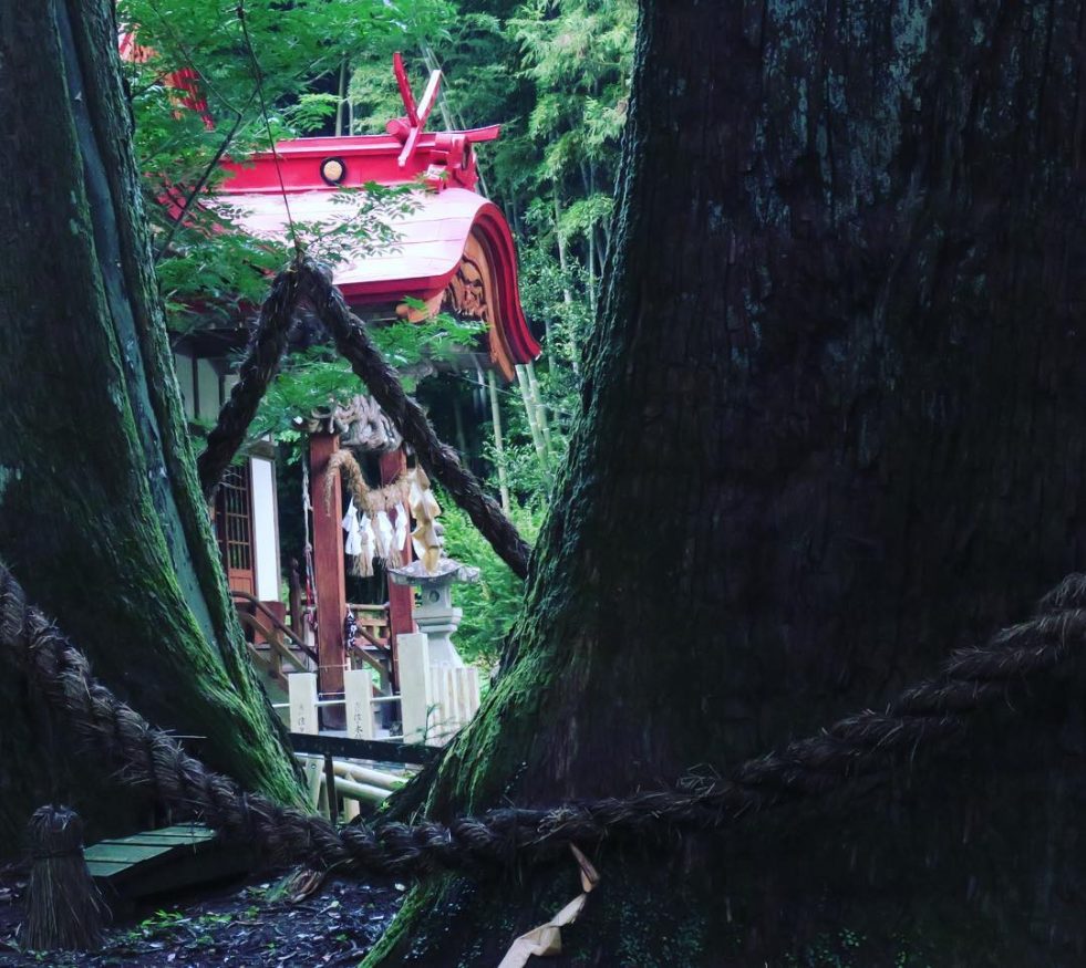 Visiter le Japon - Shikoku