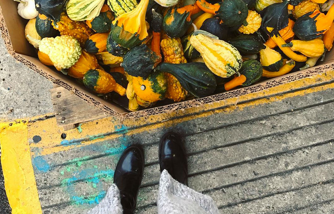 Que faire à Montréal jean-talon
