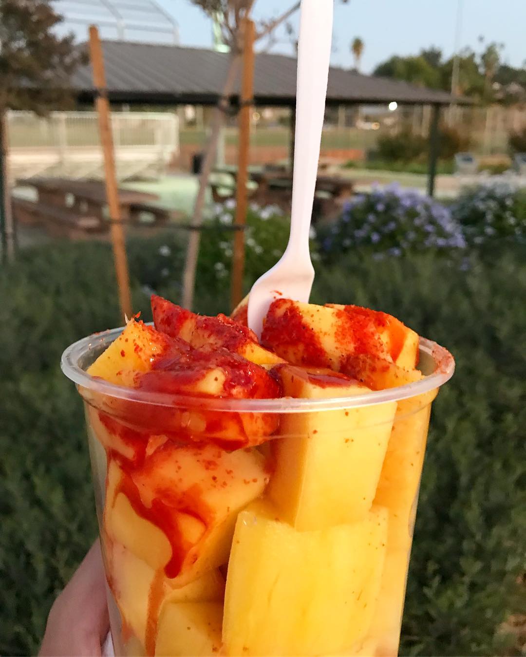 Ristoranti a Los Angeles - Dove e Cosa Mangiare - Paleteros