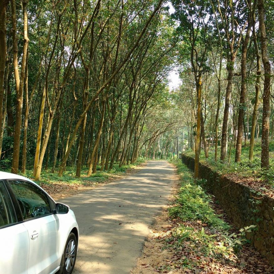 Best Road Trip from Bangalore - Kerala