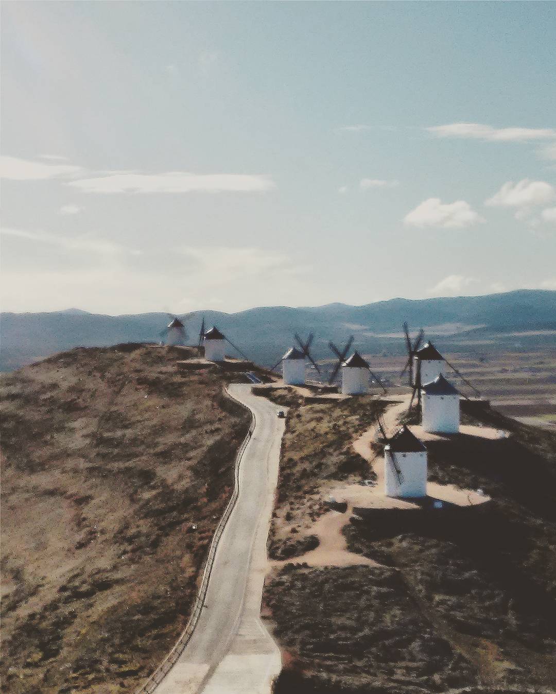 @dalmatian_cat molinos de consuegra