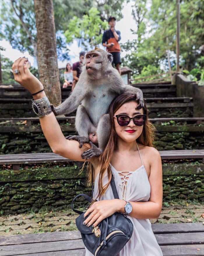 Best things to do in Bali @misheel_miki monkey