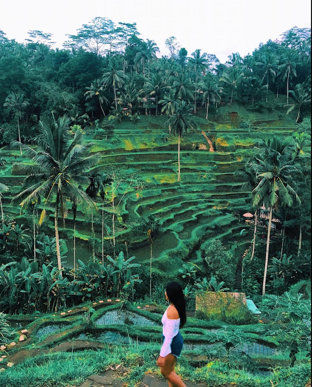 Things to do in Bali @tkray1992 rice paddies