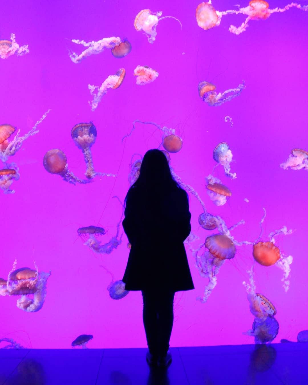 Visiter Toronto - Ripley's Aquarium