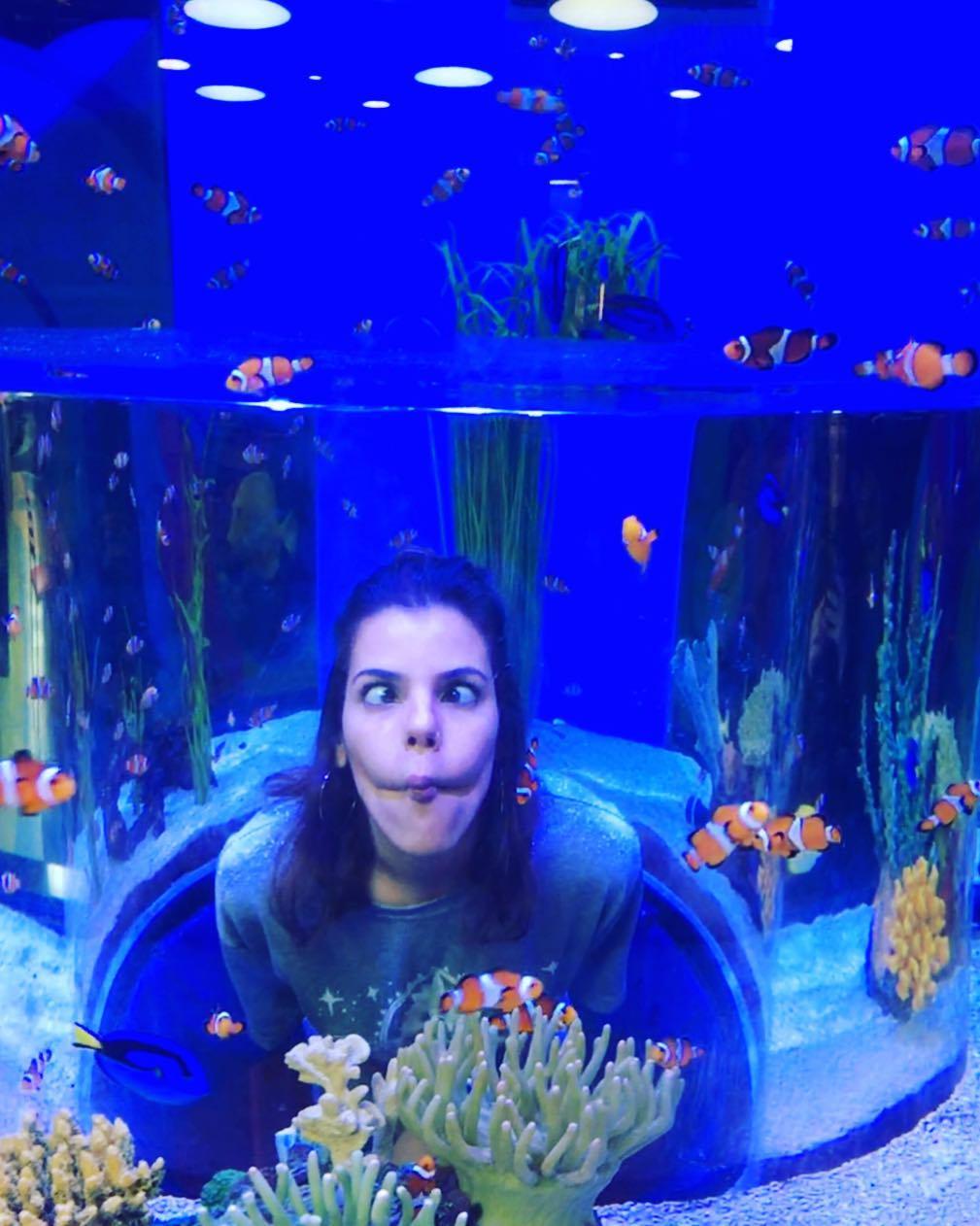 Visiter Toronto - Ripley's Aquarium