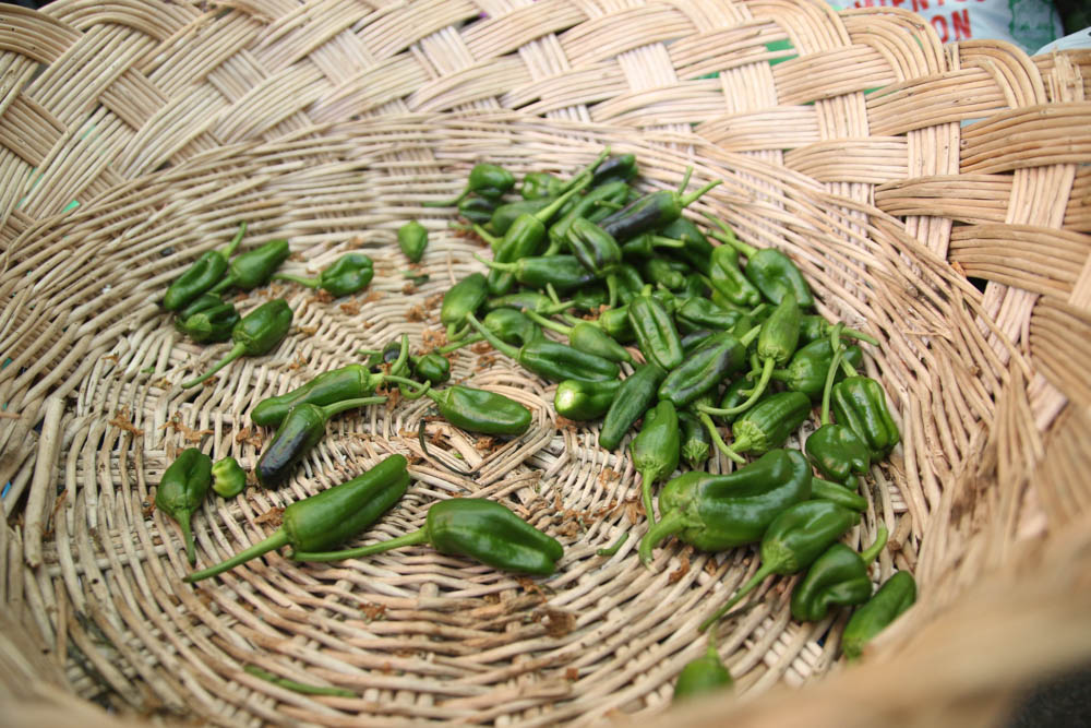 Pimientos de padron @alberto