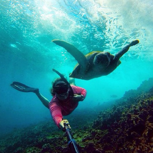 les plus beaux paysages d'Australie - Grande barrière de Corail