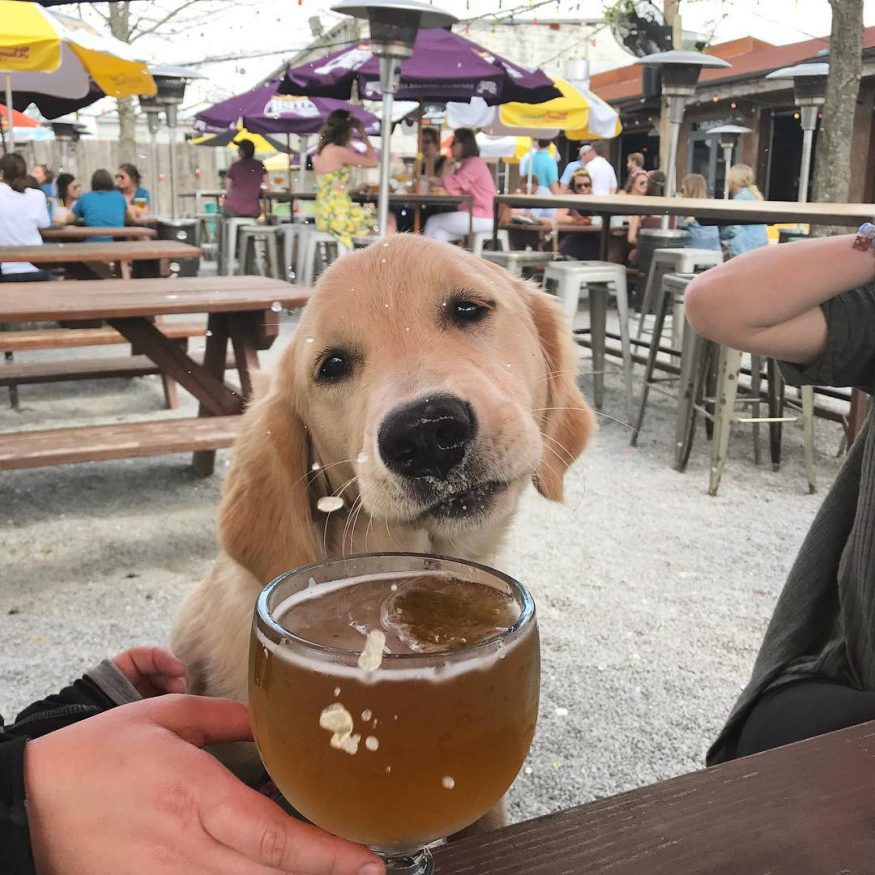 Best bars in New Orleans - Tchoup Yard