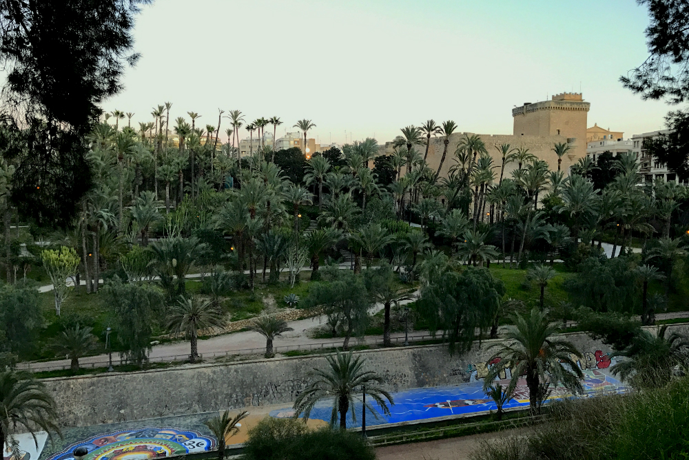 Palmerais de Elche @Paula