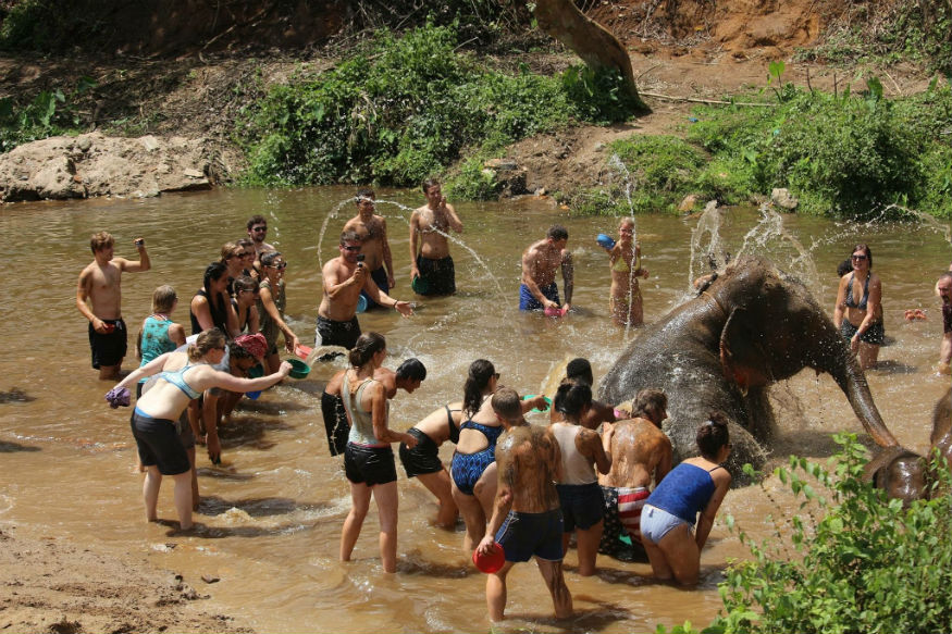 thailandia elefanti - nell'acqua