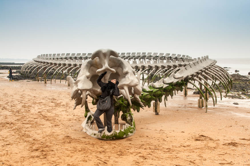 le voyage à Nantes Serpent océan