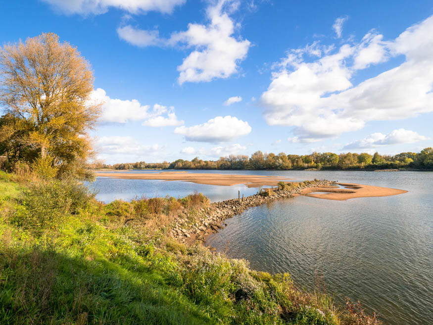 bord de loire - banc de sable