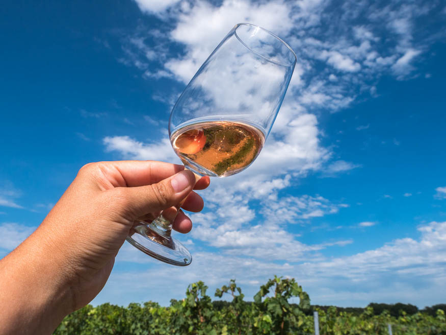 bord de loire - verre de vin