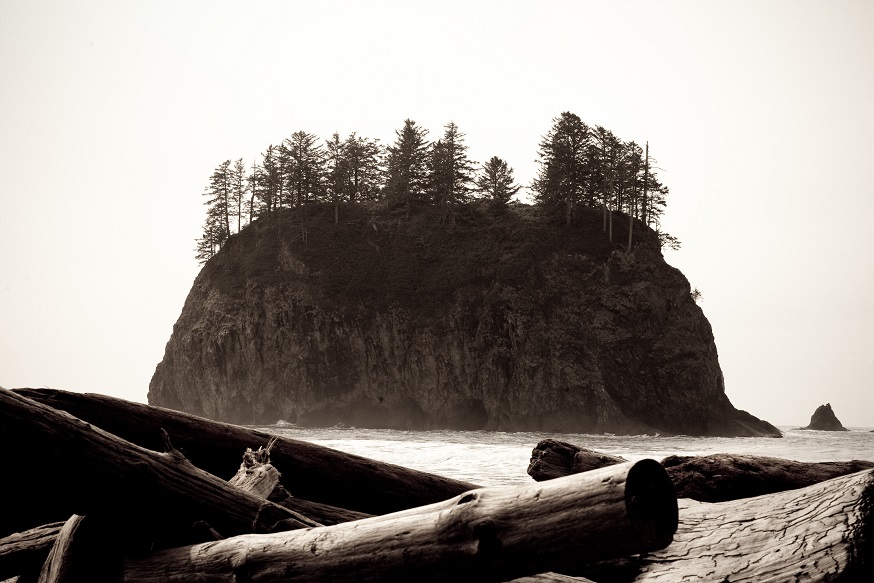 Ultimate West Cost Road Trip - Olympic National Park