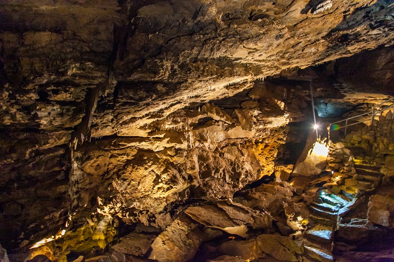 Ultimate West Coast Road Trip - Oregon Caves National Monument