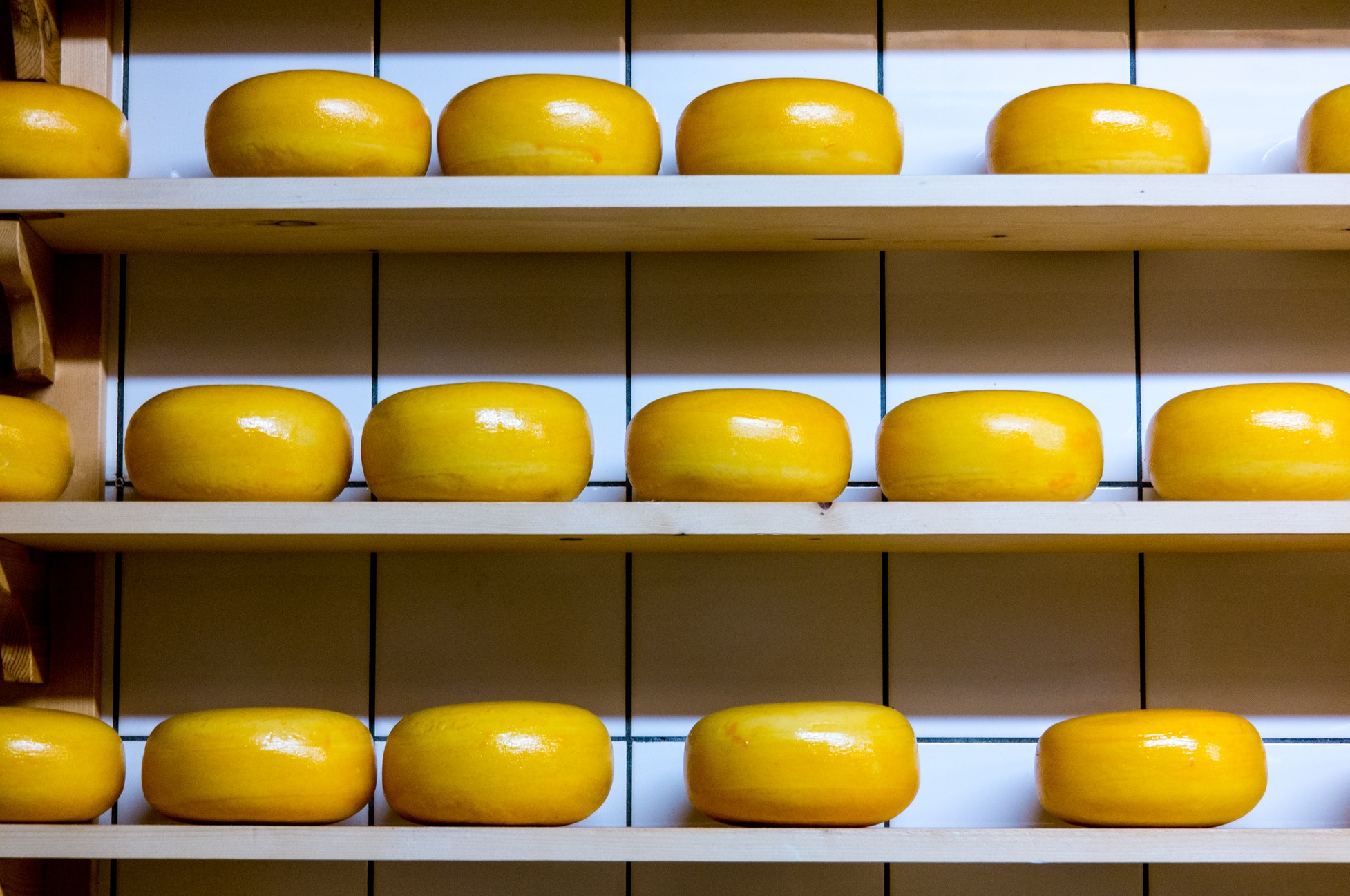 Things to do in The Netherlands
