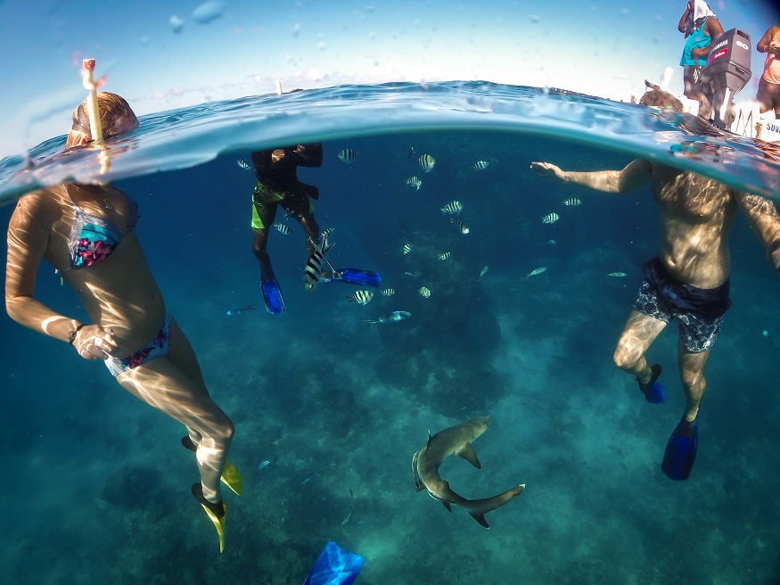 équipement photo : Gopro Dome