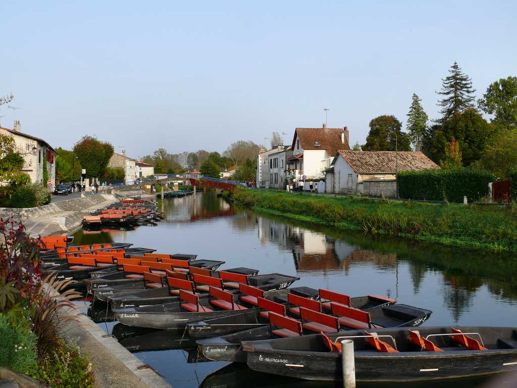 Marais Poitevin - Dynamomosquito