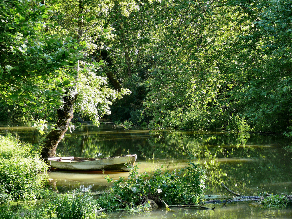 Marais Poitevin - Dynamomosquito