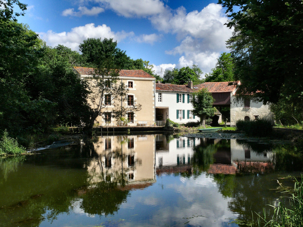 Marais Poitevin - Dynamomosquito