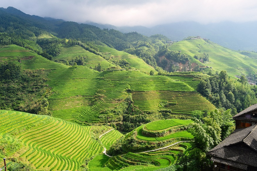 Places to visit in China - Longsheng - rice terraces
