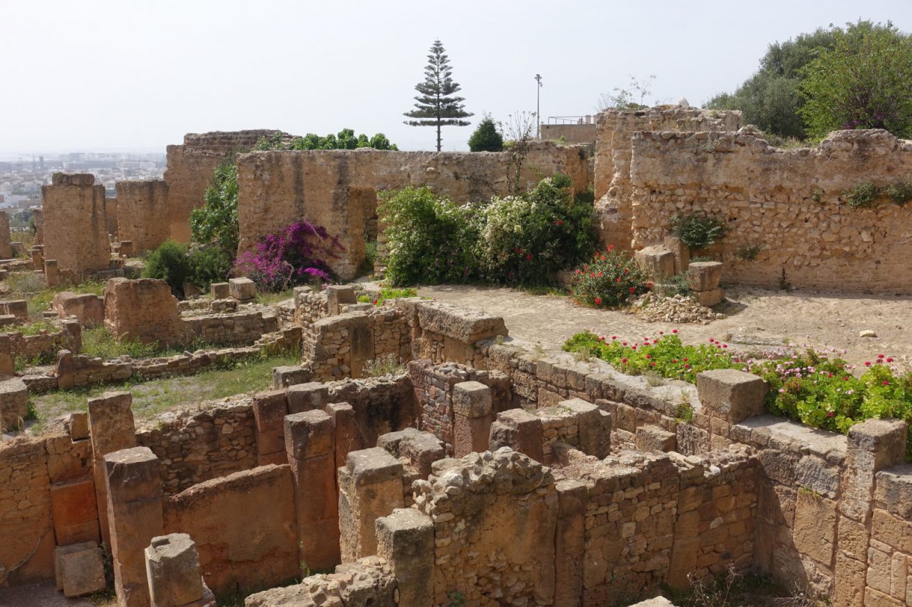 Que faire en Tunisie - Carthage