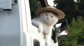 i millennials e il viaggio