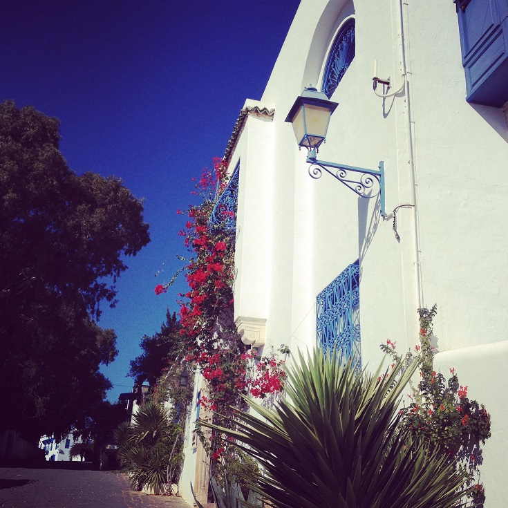 Que faire en Tunisie - Sidi Bou Said