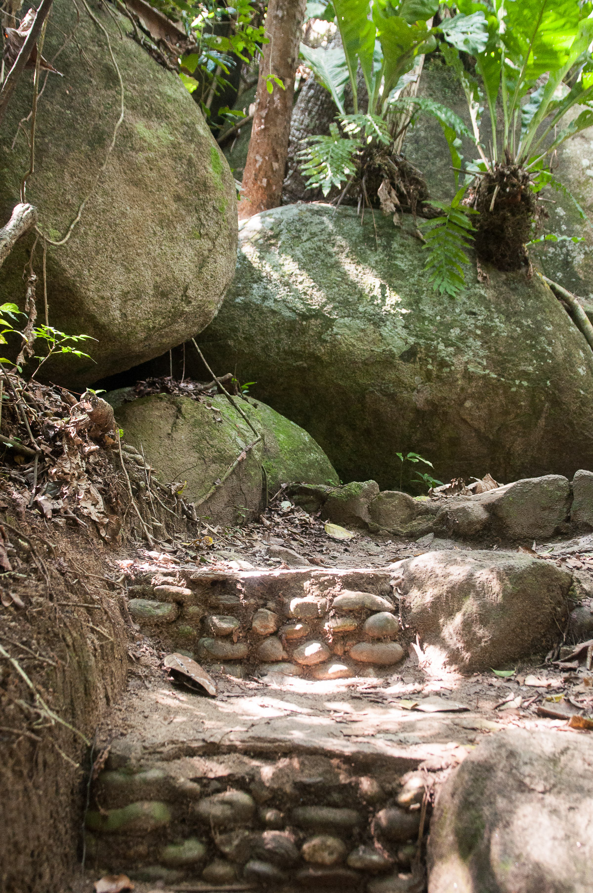 parc national naturel de tayrona - escaliers