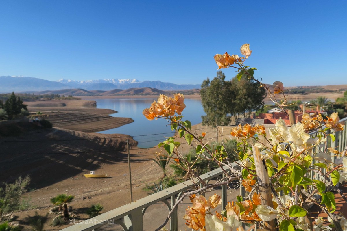Arab culture - Morocco - lake and flowers
