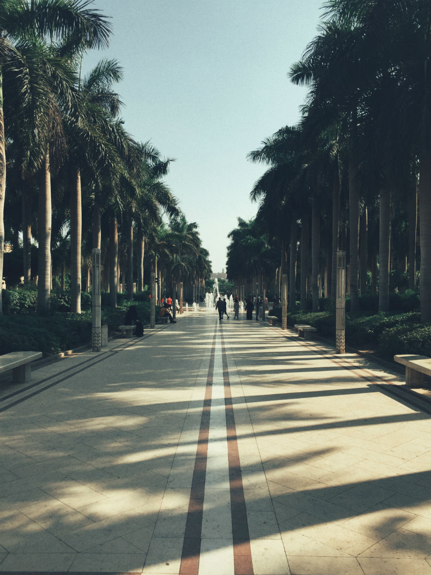 Viaggiare sicuri in Egitto - Al Azhar