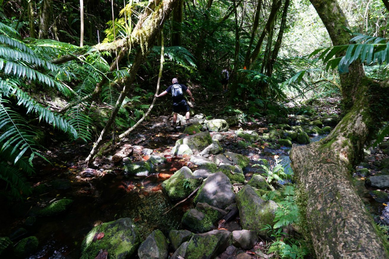 Rarotonga - Cross island hike