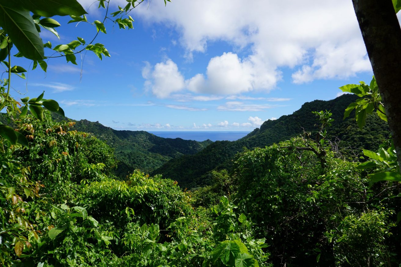 Rarotonga - View from the cross island hike