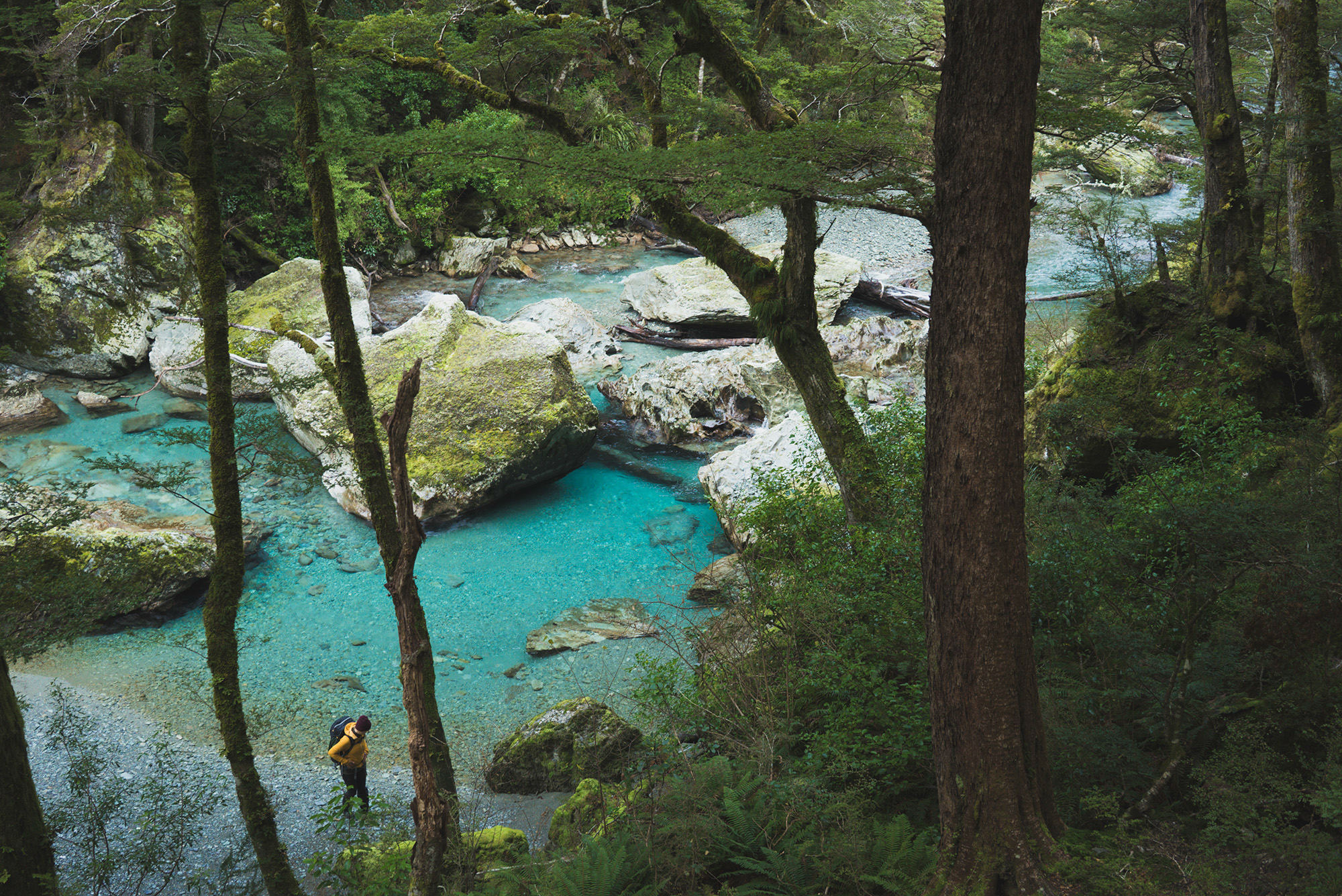hikes new zealand - Routeburn Track