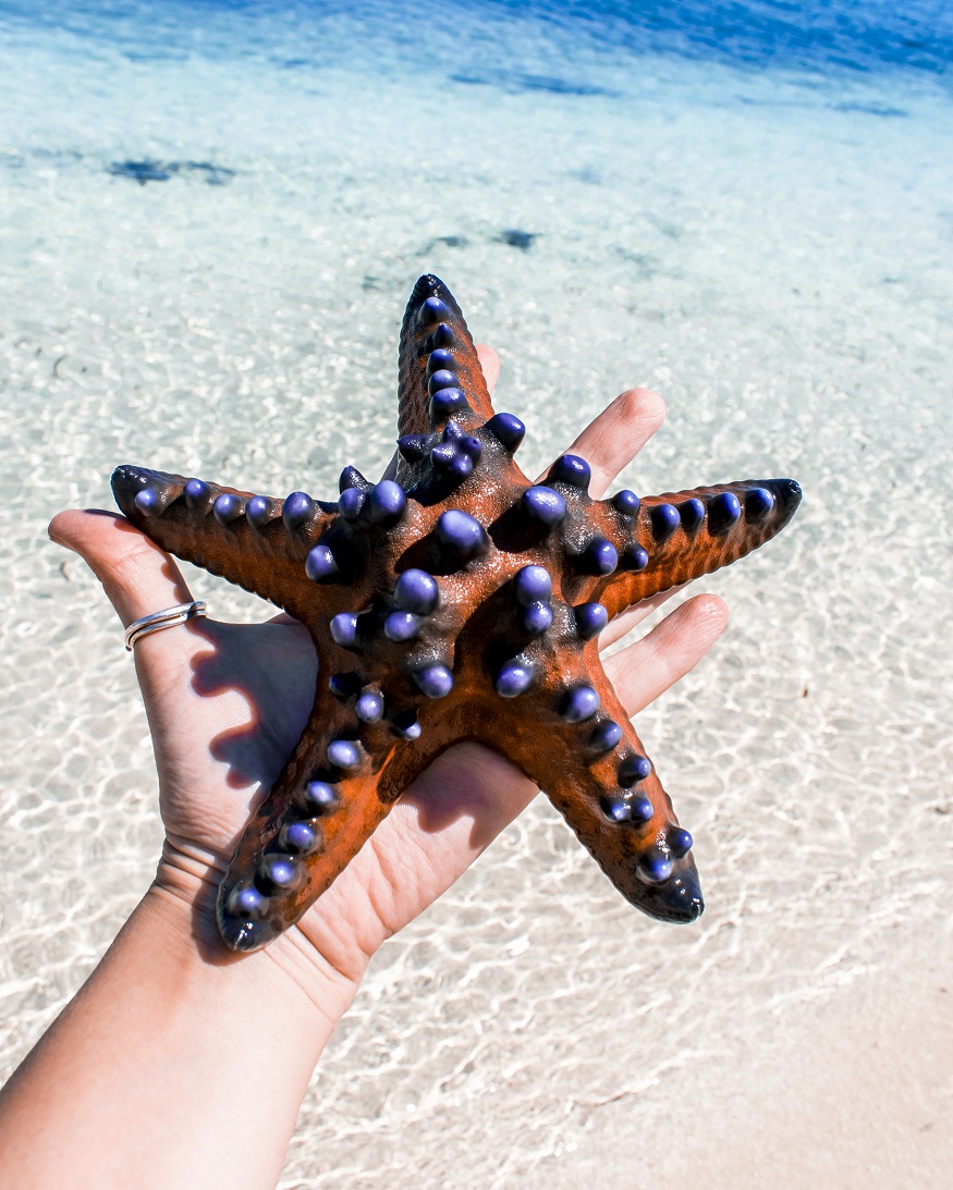 Indonesia beaches - Kanawa Island, Flores