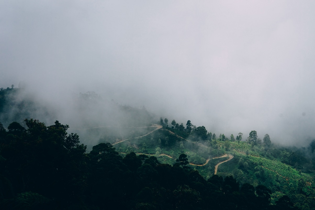 Backpacking Sri Lanka - mist and mountains