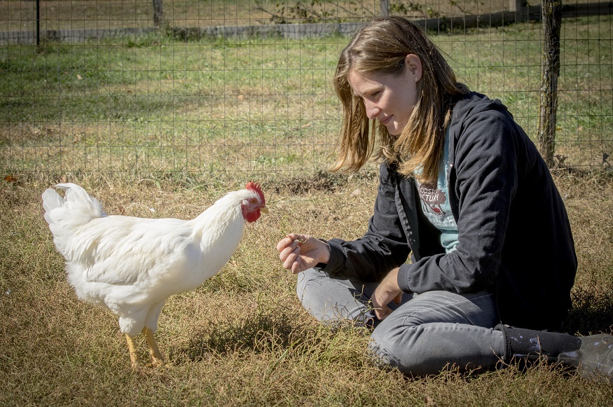 best places for animal lovers - Woodstock Farm Animal Sanctuary in NY
