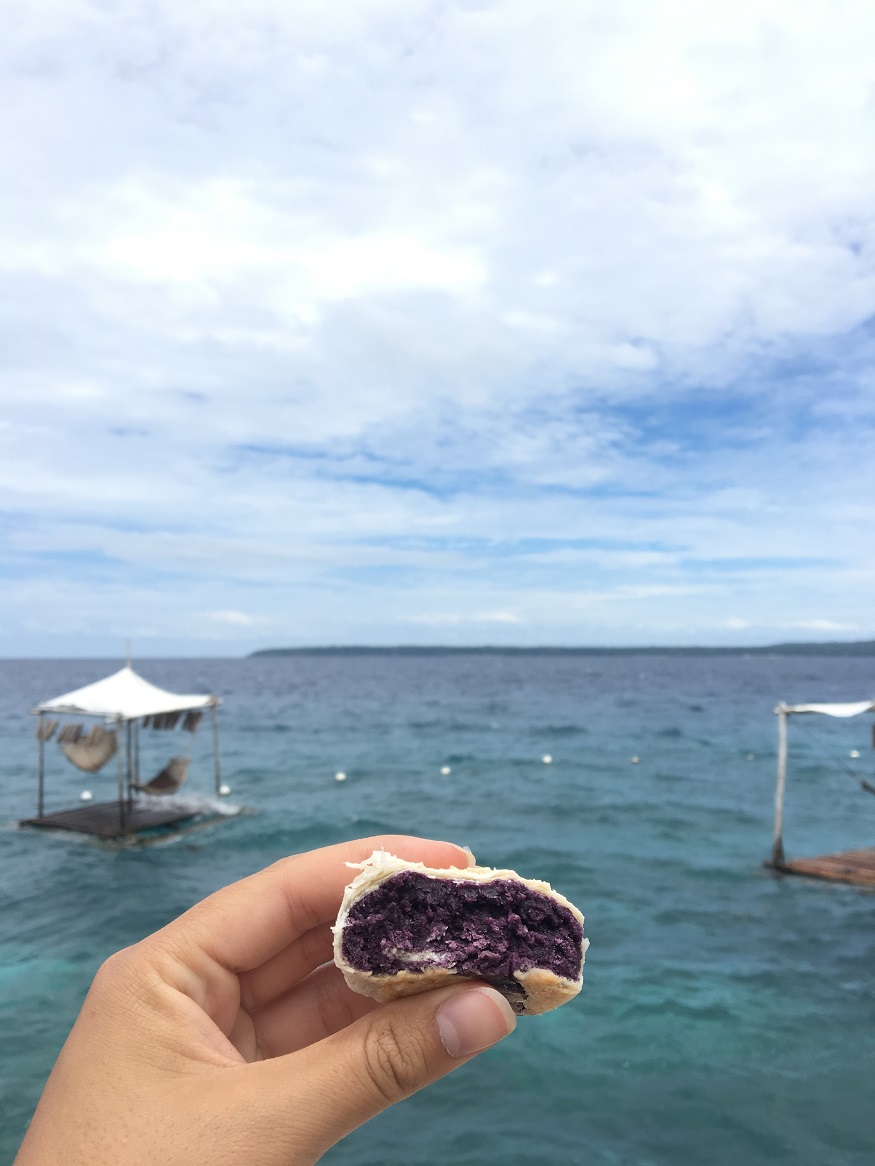 foods in asia - Ube Hopia