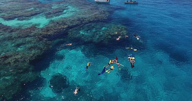 backpacking fidschi - Taucher schwimmen mit den Haien im Meer