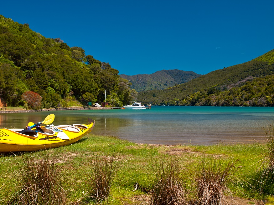 backpacking New Zealand - Fjords in Marlborough Sounds