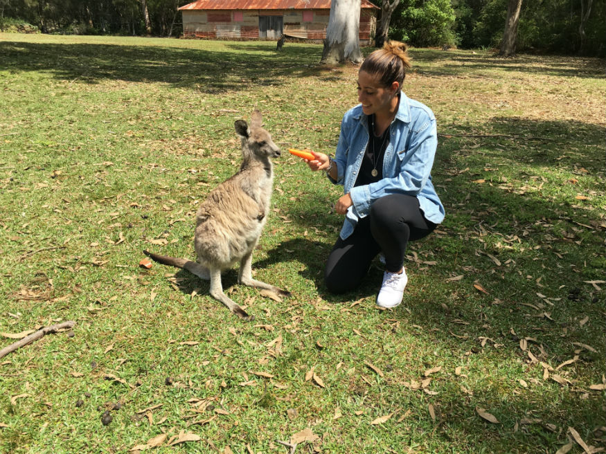 trasferirsi in australia - canguro