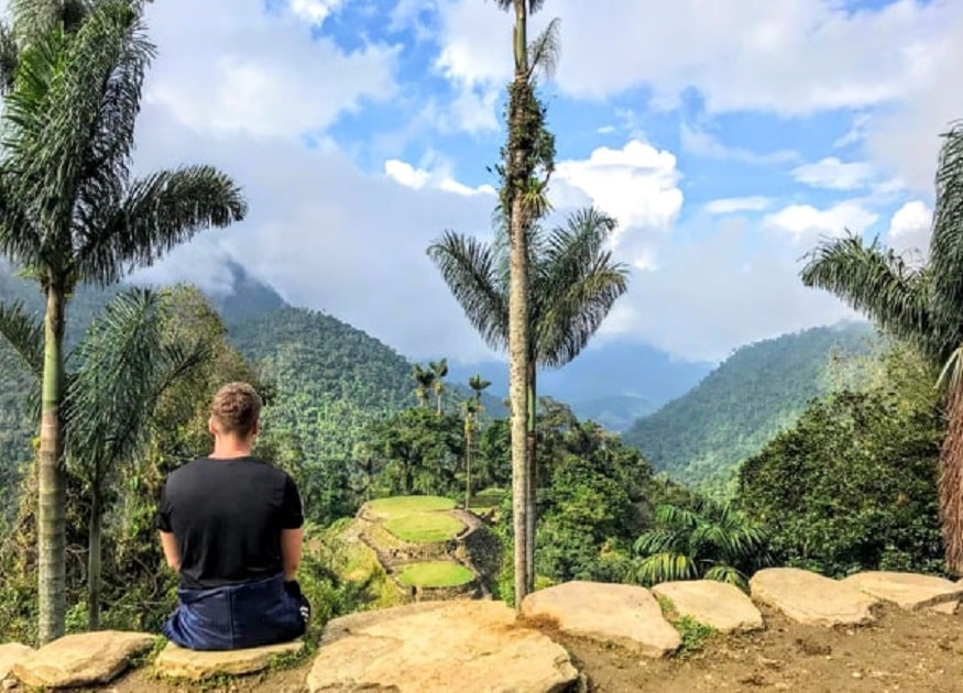 mental health benefits of travelling - palm trees