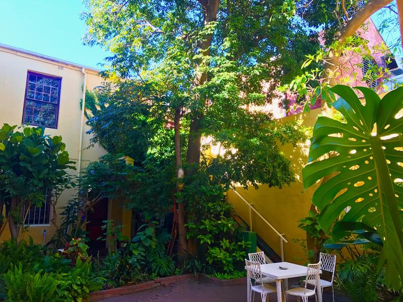 best hostels in cape town -Cat and Moose Backpackers Lodge