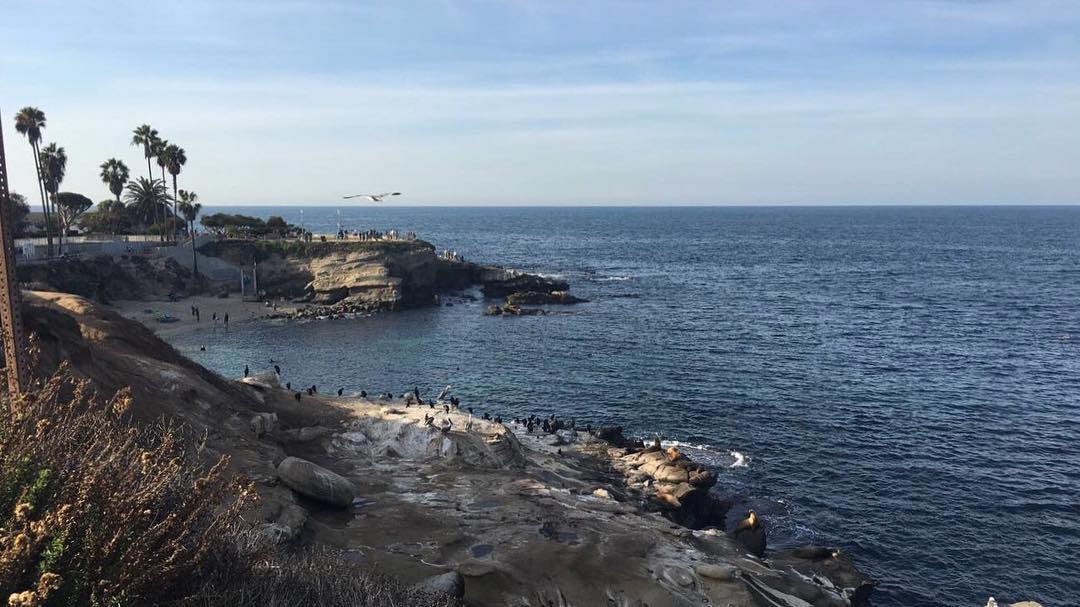 viaggio in California - La Jolla