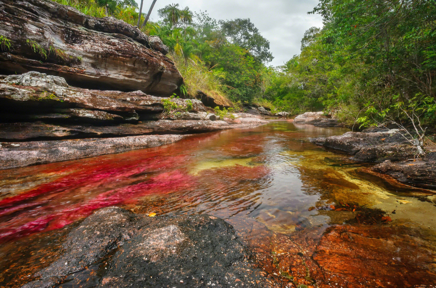 endroit à visiter - Cano Cristales
