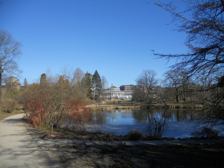 cose da vedere a Copenaghen - giardino botanico