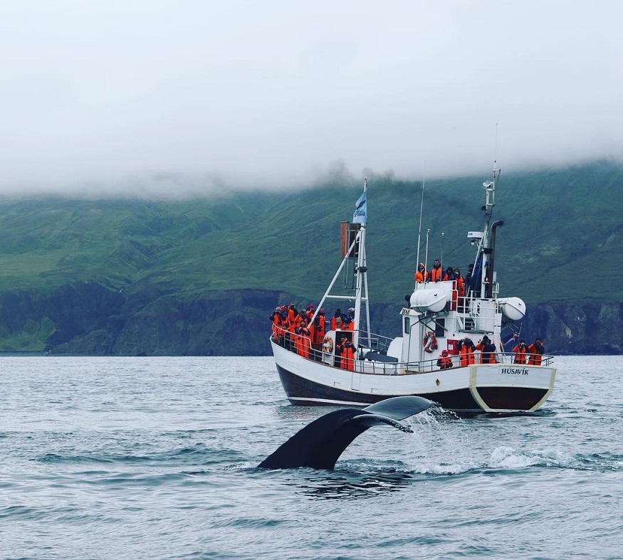 backpacking iceland - Husavik